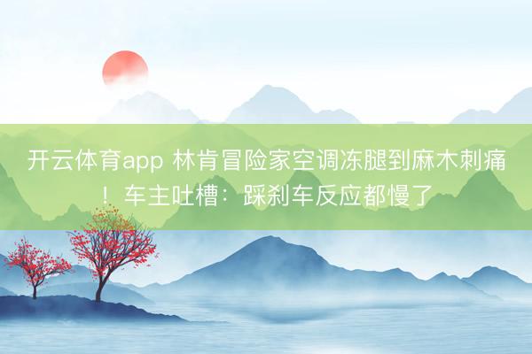 開云體育app 林肯冒險家空調凍腿到麻木刺痛！車主吐槽：踩剎車反應都慢了